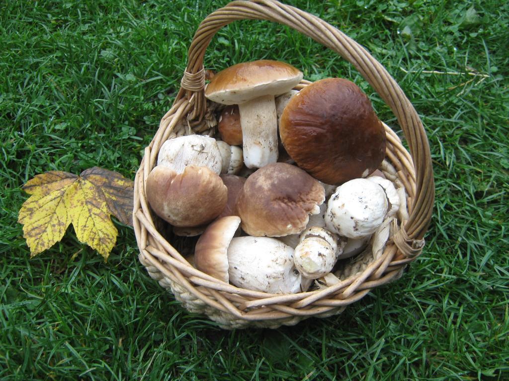 Penzion pod Dobákom Lazisko Exterior foto